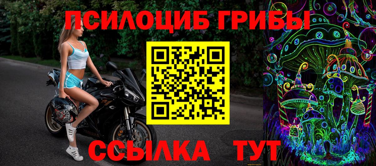 Псилоцибиновые грибы прущие грибы  Псилоцибиновые грибы Psilocybine cubensis  сколько стоит  Соликамск  Вход с VPN 